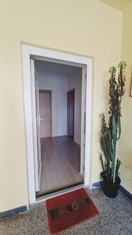 Апартаменты Apartman Dora Пула Экстерьер фото